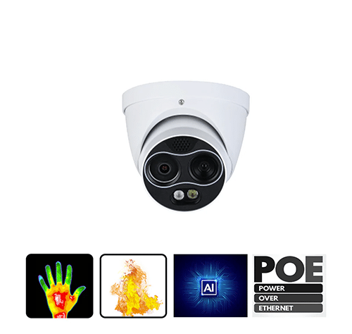 4 MP Thermal Network Mini Hybrid Eyeball AI Camera IP67