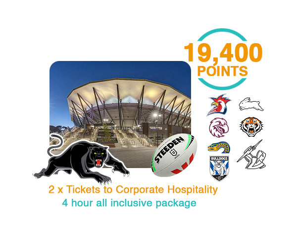 Commbank Stadium Experience