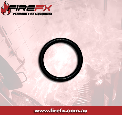 Hose Reel O-rings