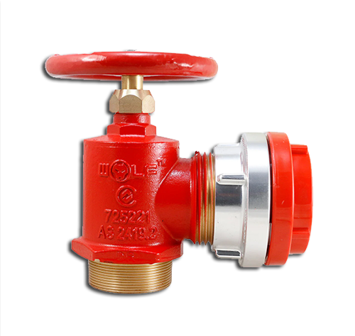 65mm NSW FBT Threaded Storz x 65mm BSP Male Inlet (NSW, SA, ACT and TAS)