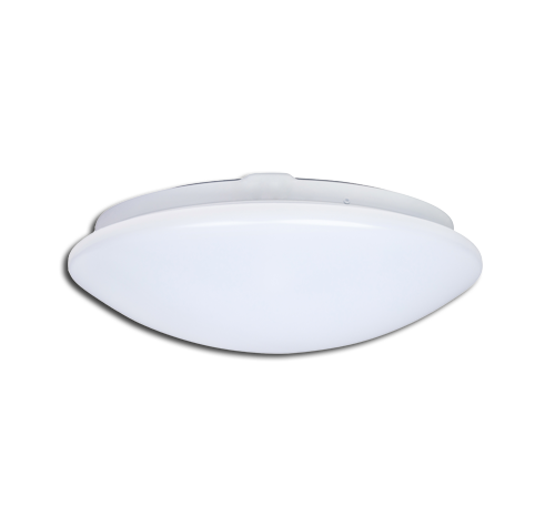 Oyster Emergency LED Surface Mount Light