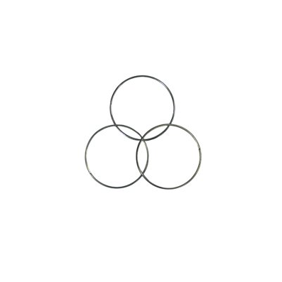 Ring for AS1851 tag