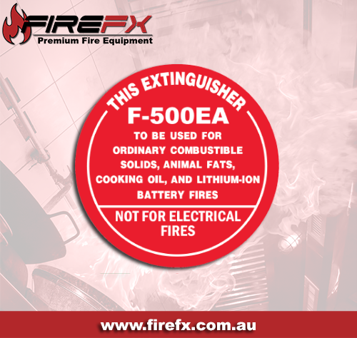 4L F500 Identification Disc - Image 2