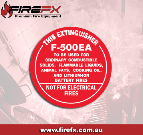 9L F500 Identification Disc - Image 2